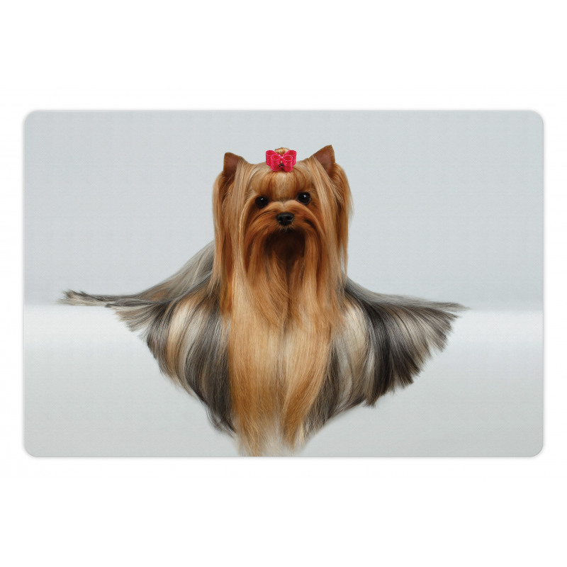 Groomed Hair Pet Mat