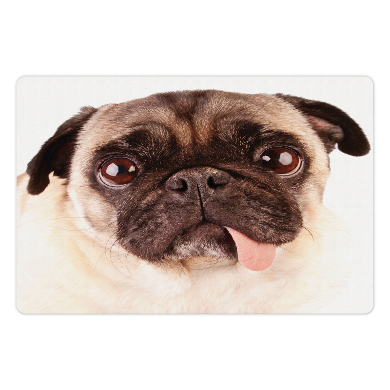 Upset Dog Sad Eyed Pet Pet Mat