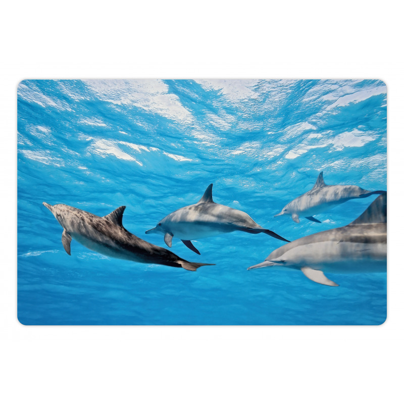 Happily Swimming Fish Pet Mat