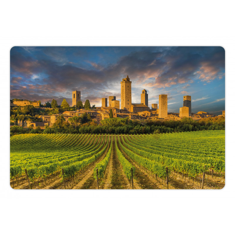 San Gimignano Vineyards Pet Mat