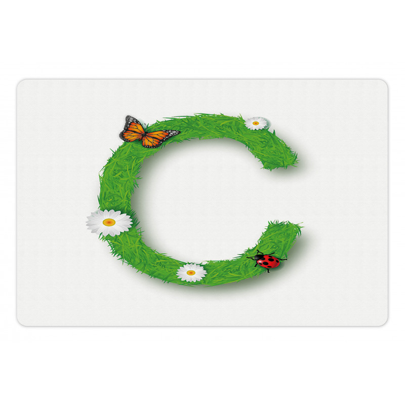 C with Grass Greenland Pet Mat