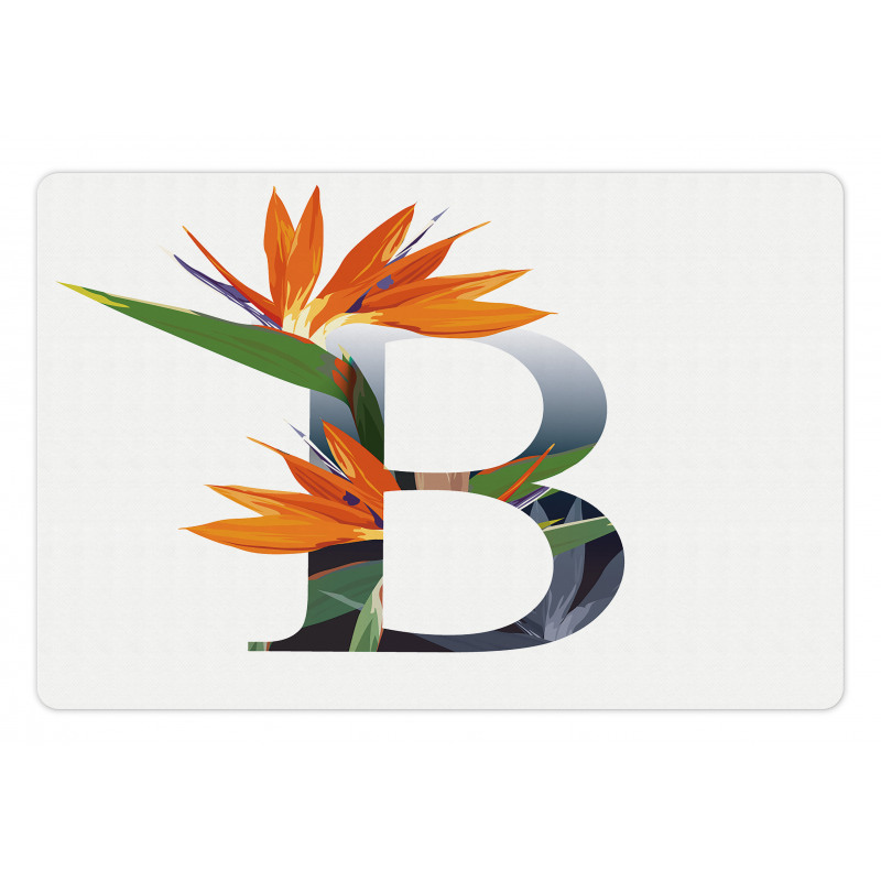 Bird of Paradise B Pet Mat