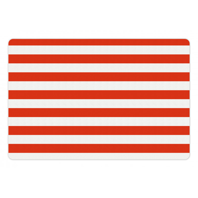 American Flag Design Pet Mat