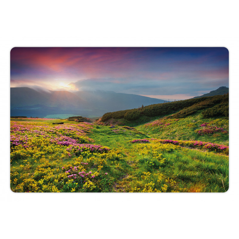 Summer Scene Flowers Pet Mat