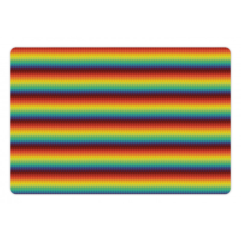 Colorful Rainbow Scale Pet Mat