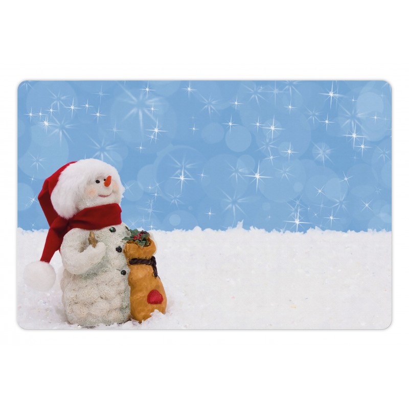 Winter Christmas Time Pet Mat