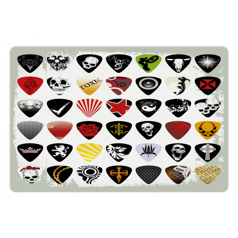 Guitar Picks Set Pet Mat