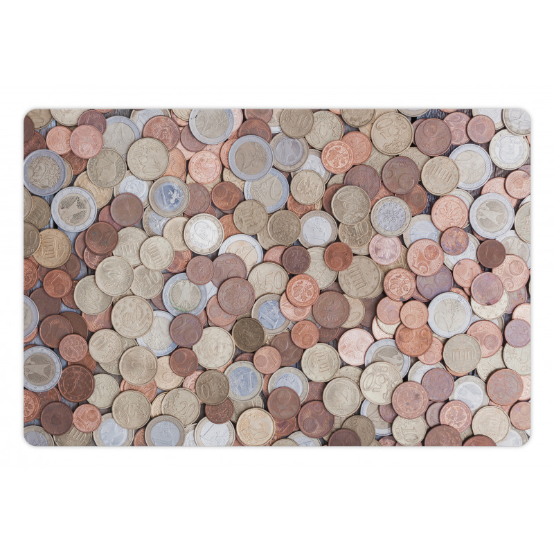 Euros and Cent Coins Pet Mat