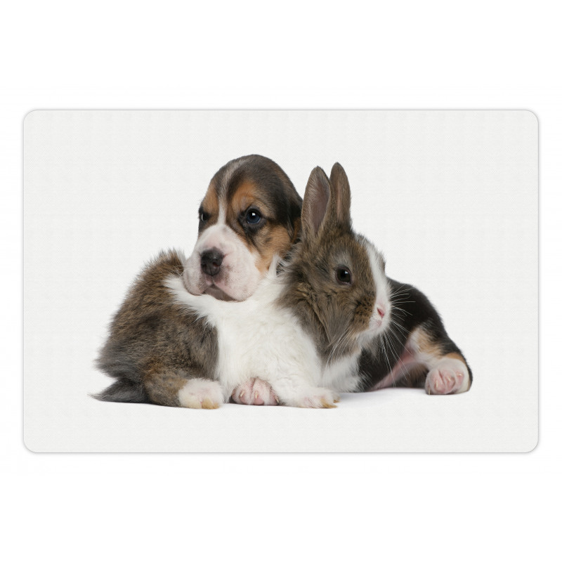 Rabbit Puppy Pet Friends Pet Mat