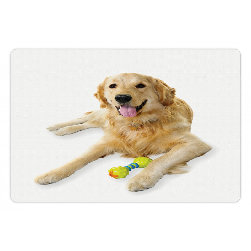 Pet Dog Toy Pet Mat