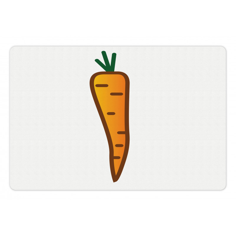 Carrot Drawing Pet Mat