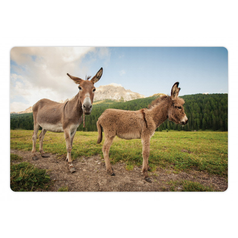 Dolomites Italy Countryside Pet Mat