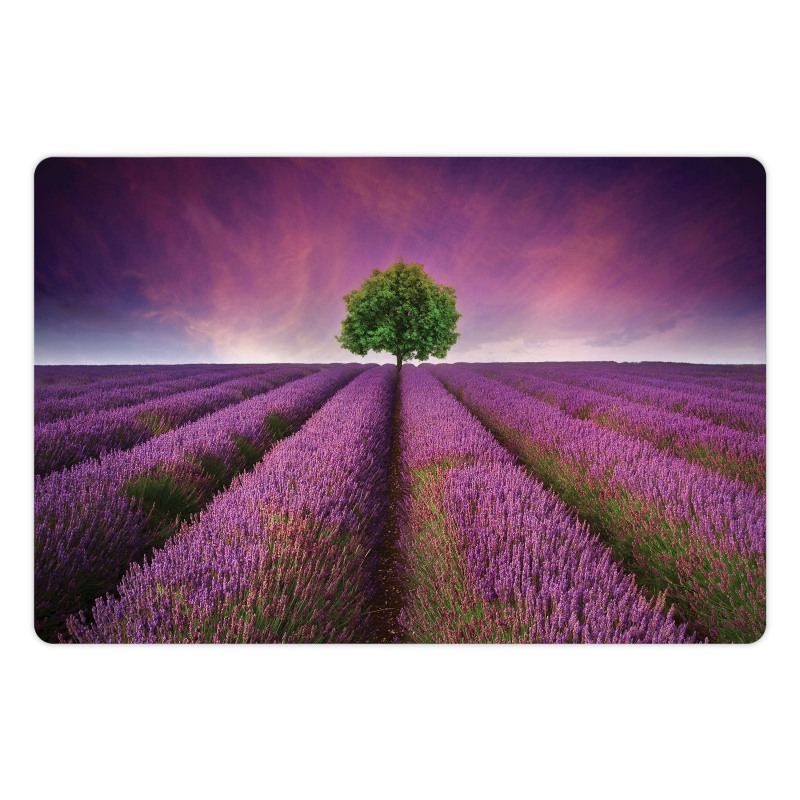 Lavender Fields and Tree Pet Mat