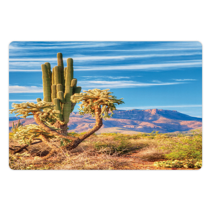 Landscape and Prickle Plant Pet Mat