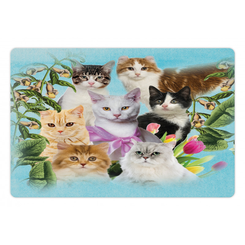 Cats Feline Domestic Pet Mat