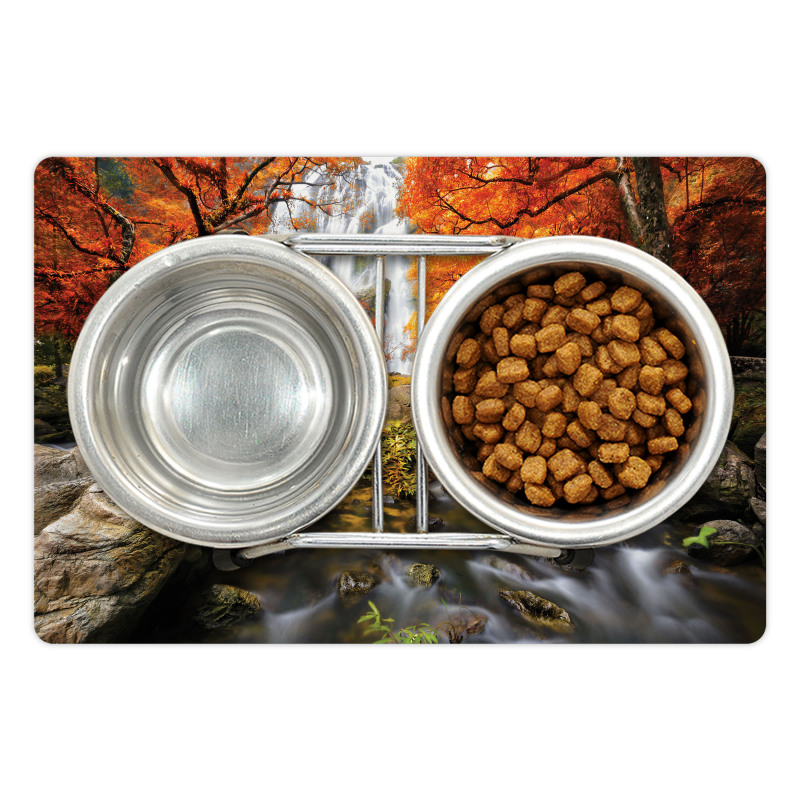 Autumn River Stream on Rocks Pet Mat