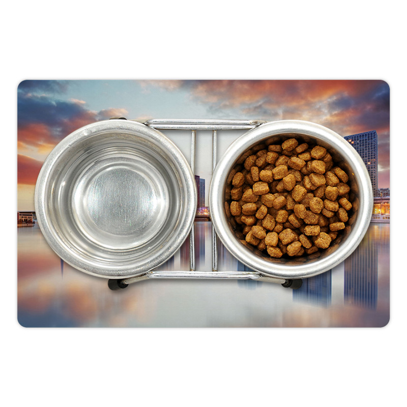 Buildings Dawn Reflection Pet Mat