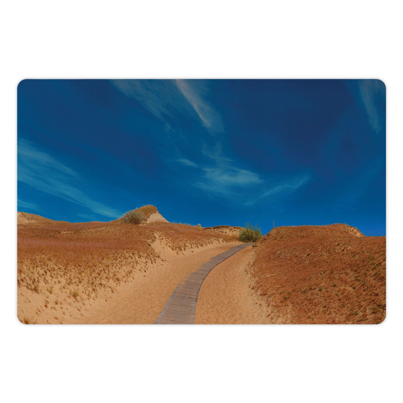 Wooden Road Dunes Pet Mat