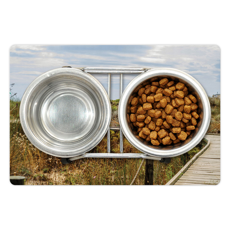 Boardwalk in Dunes Pet Mat