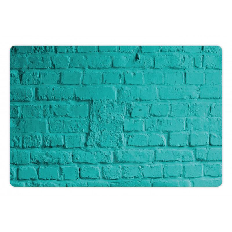 Turquoise Rough Wall Pet Mat