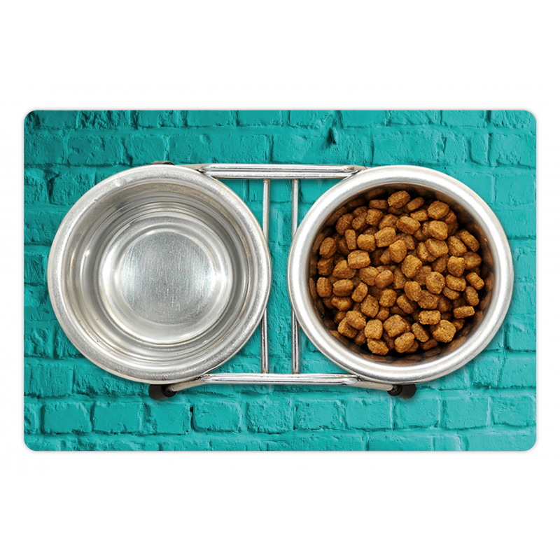 Turquoise Rough Wall Pet Mat