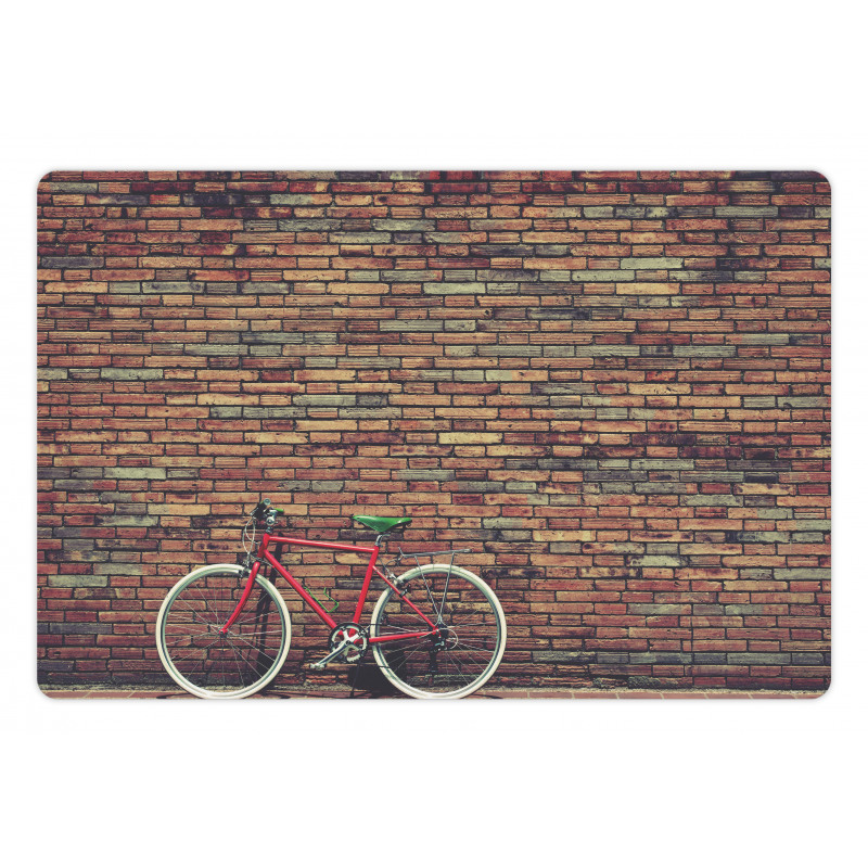 Retro Bicycle Roadside Pet Mat