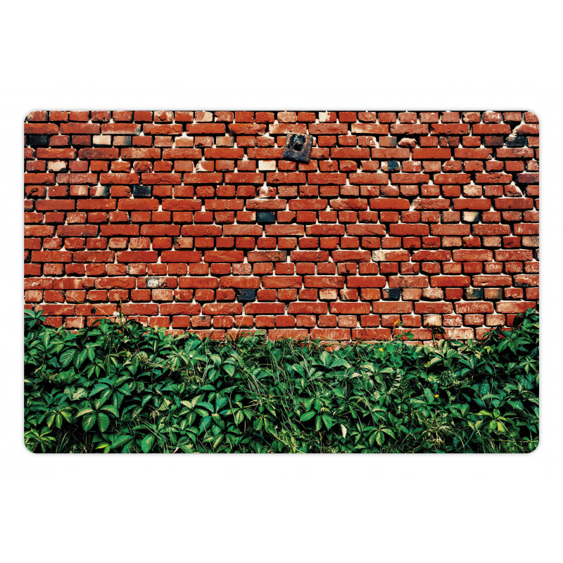 Wall with Green Leaves Pet Mat