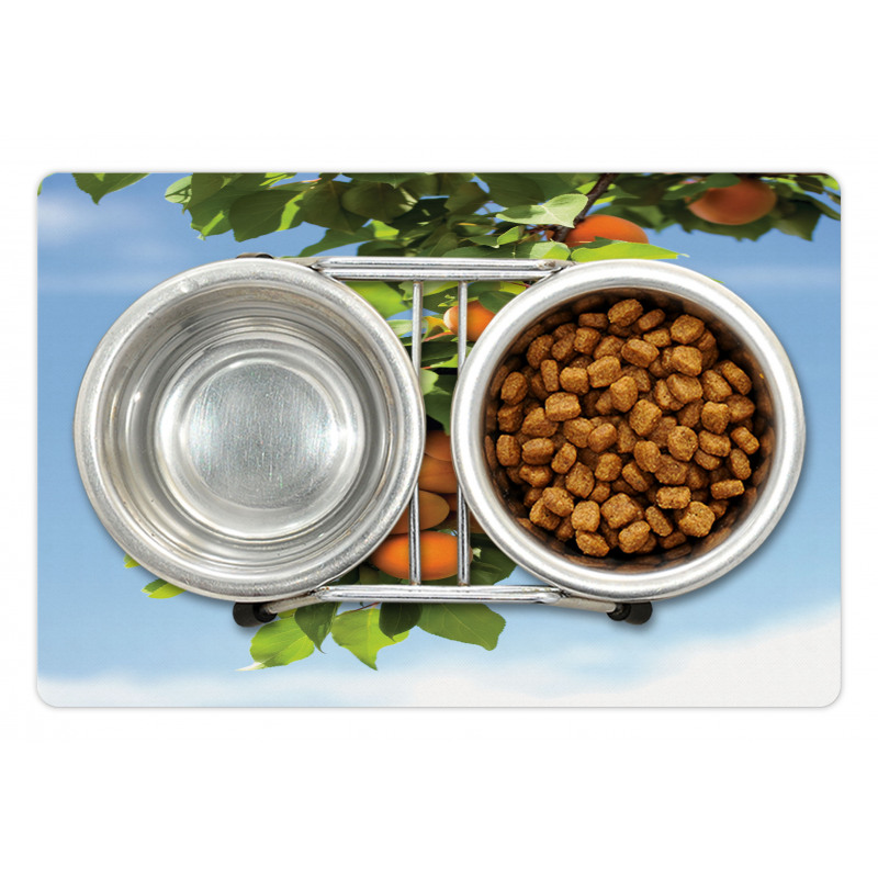 Succulent Apricots on Tree Pet Mat