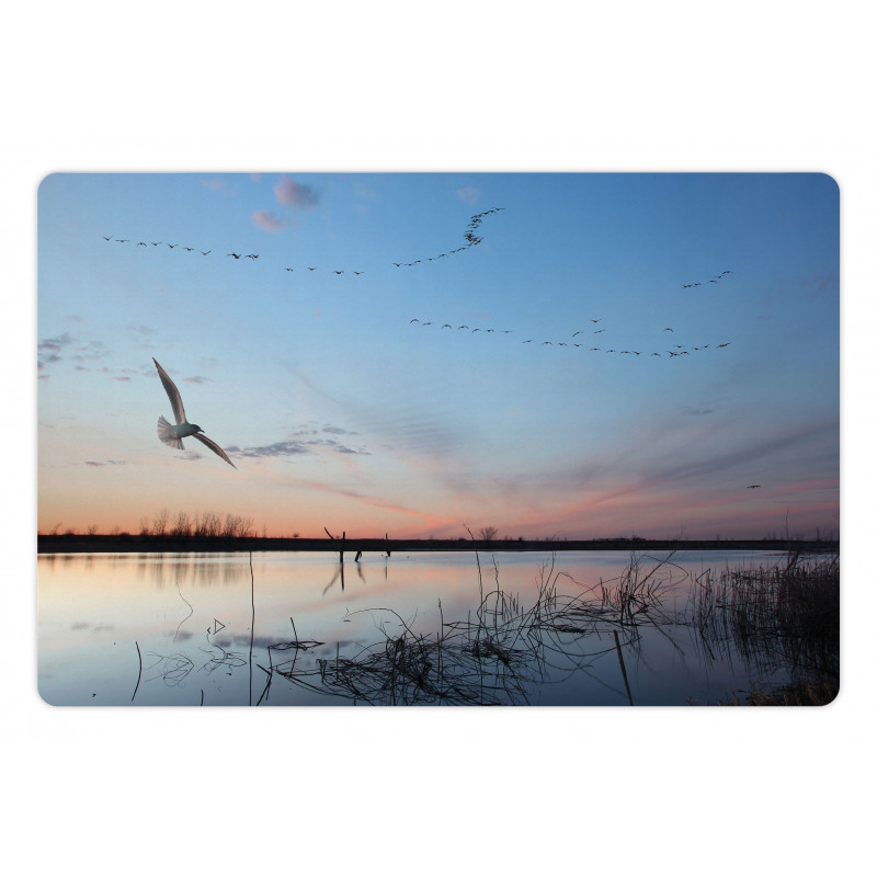 Geese Flying Across Wild Lake Pet Mat