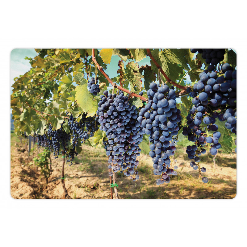 Rows of Wine Fruits in Italy Pet Mat