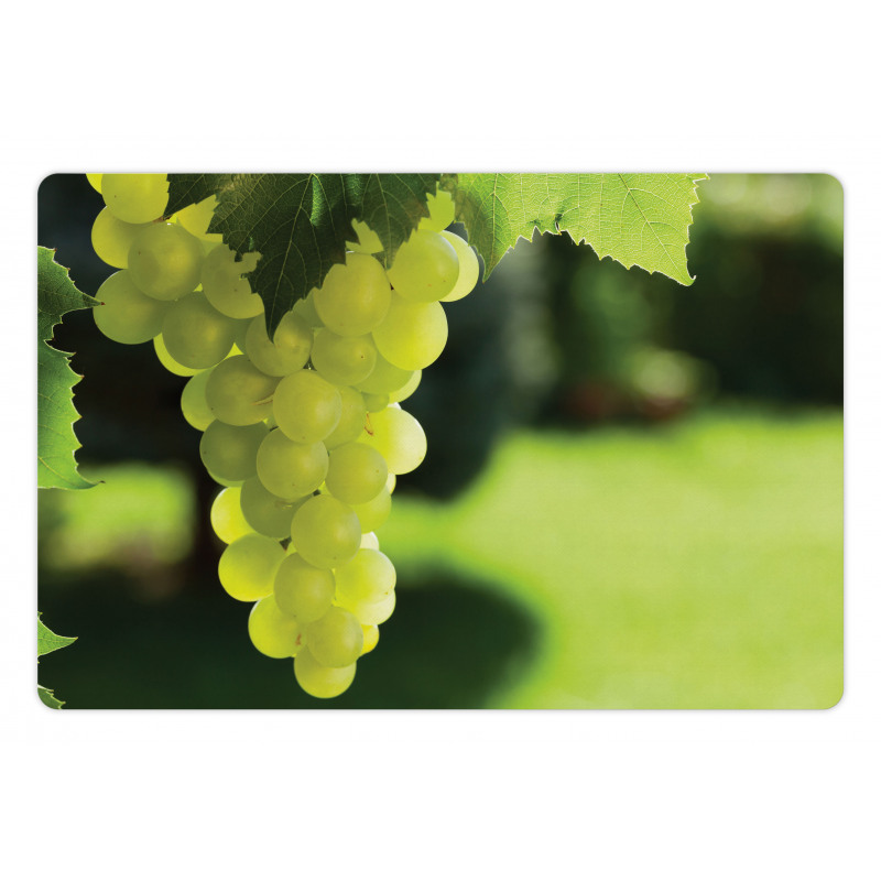 Bunch of Fruits Hanging Photo Pet Mat