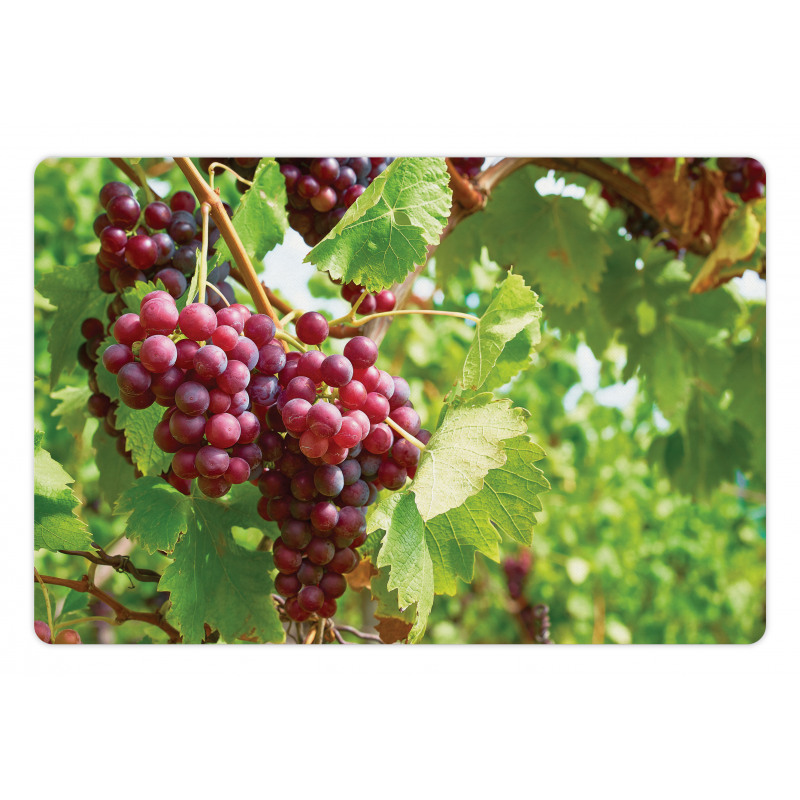 Bunch of Wine Fruits Foliage Pet Mat