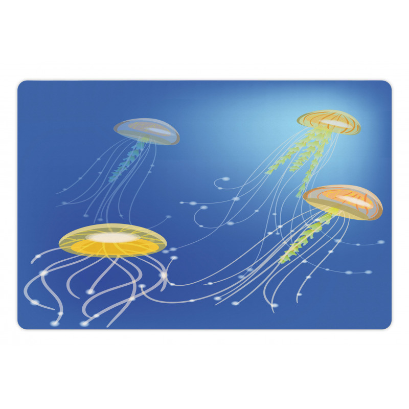 Abstract Floating Scene Pet Mat