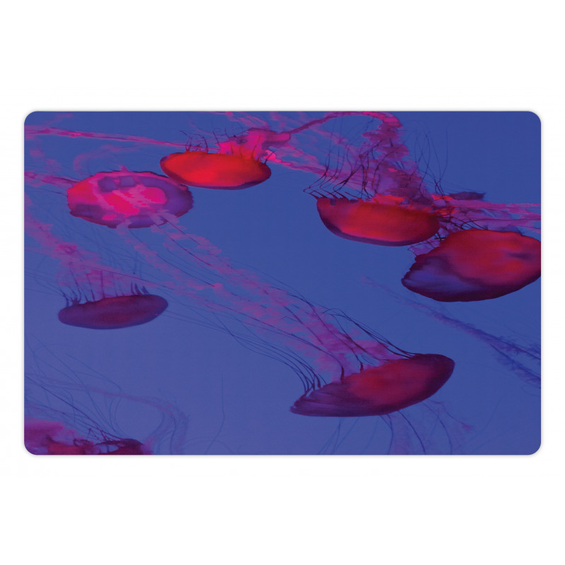 Tropical Underwater Bloom Pet Mat