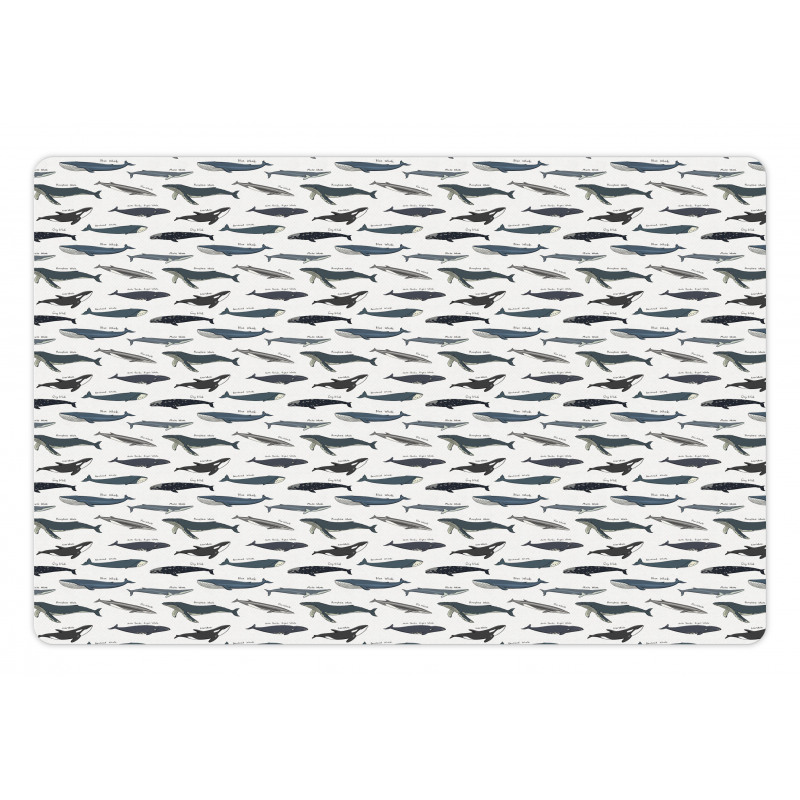 Type of Fish Grey Fin Killer Pet Mat