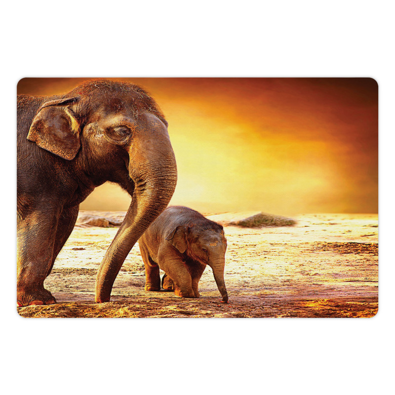 Mother Baby Elephant Family Pet Mat