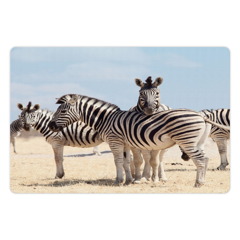 Namibia Africa Safari Pet Mat