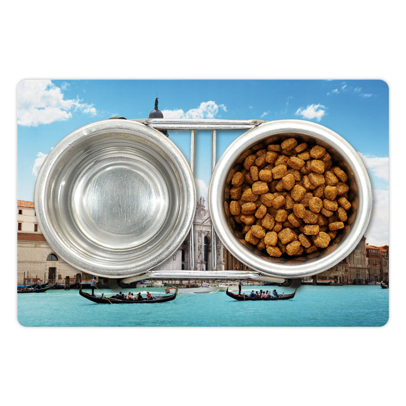 Grand Canal Venice Pet Mat