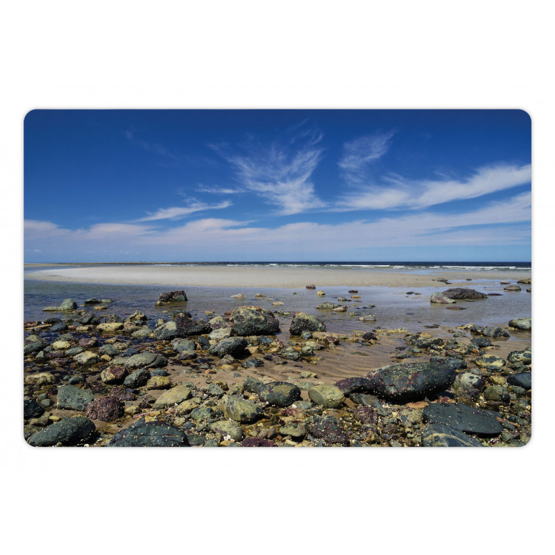 Plum Island Beach Pet Mat