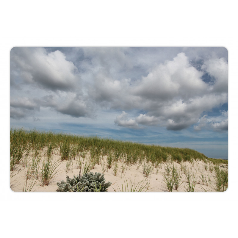 Cape Cod Coastline Pet Mat