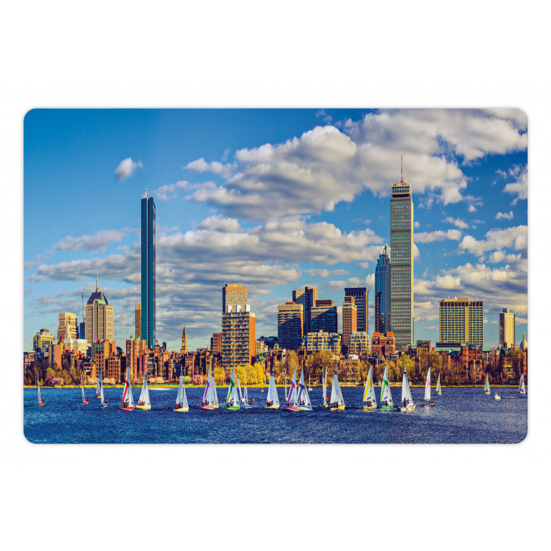 Panorama Style Boston Pet Mat