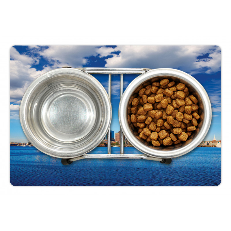 Skyline of Boston Pet Mat