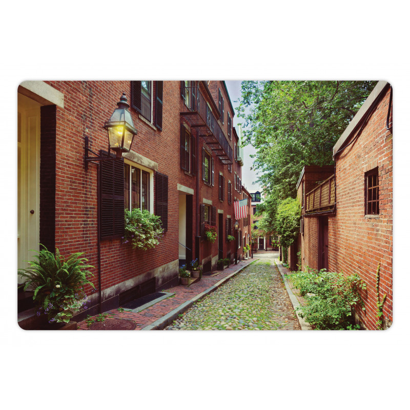 Historic Acorn Street Pet Mat