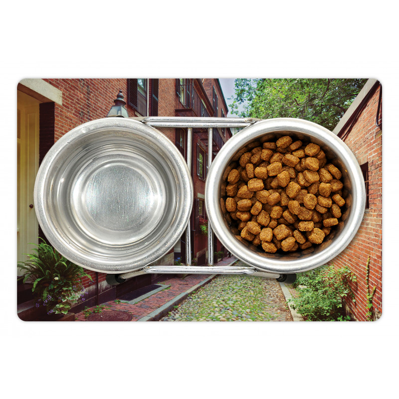 Historic Acorn Street Pet Mat