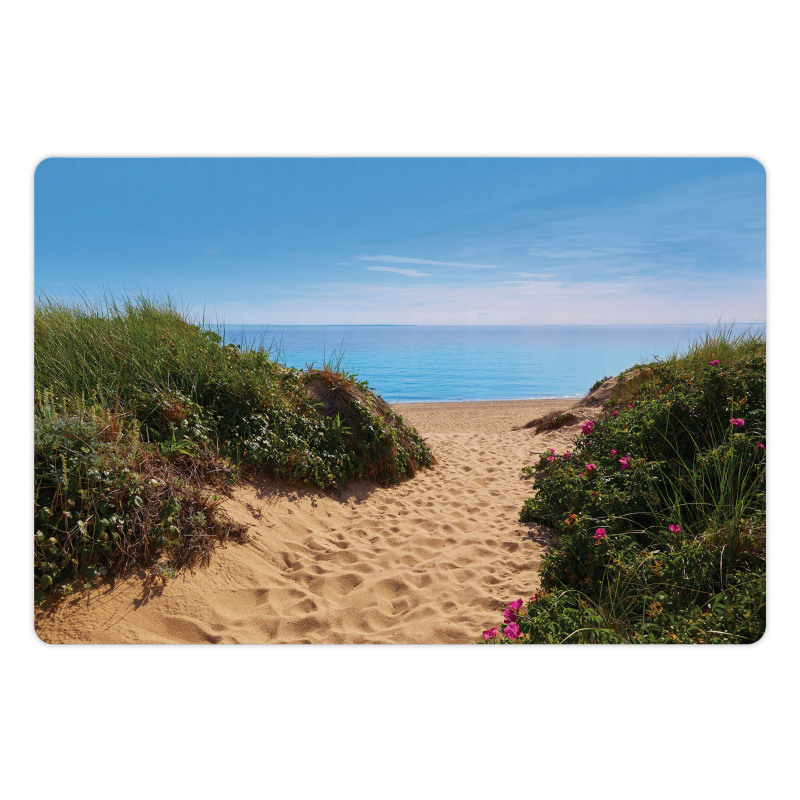 Herring Cove Beach Pet Mat