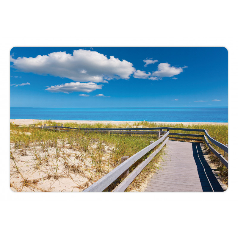 Sandy Neck Beach USA Pet Mat