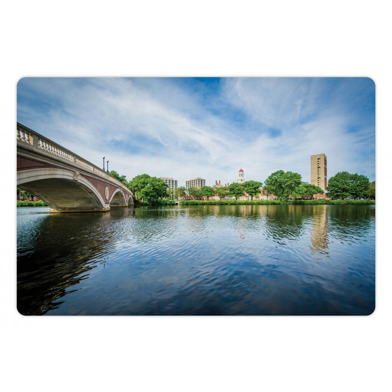 Old Historic Bridge Pet Mat