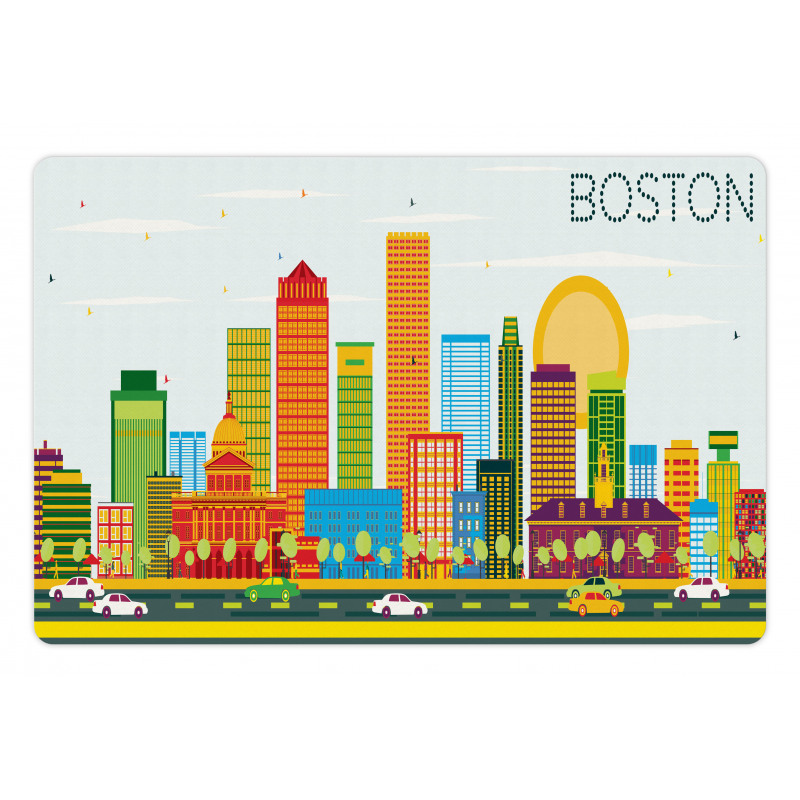 District of Boston Pet Mat