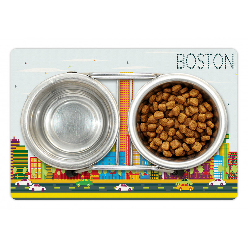 District of Boston Pet Mat