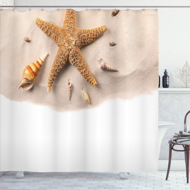 Close up Shot Seashells Shower Curtain